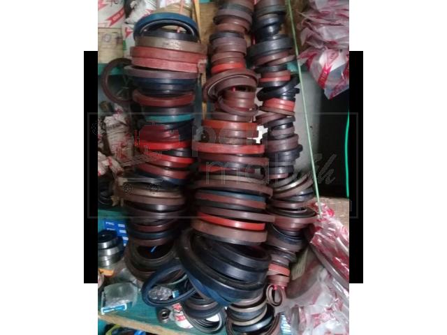 Oil Seals