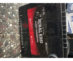 Rural king Batteries
