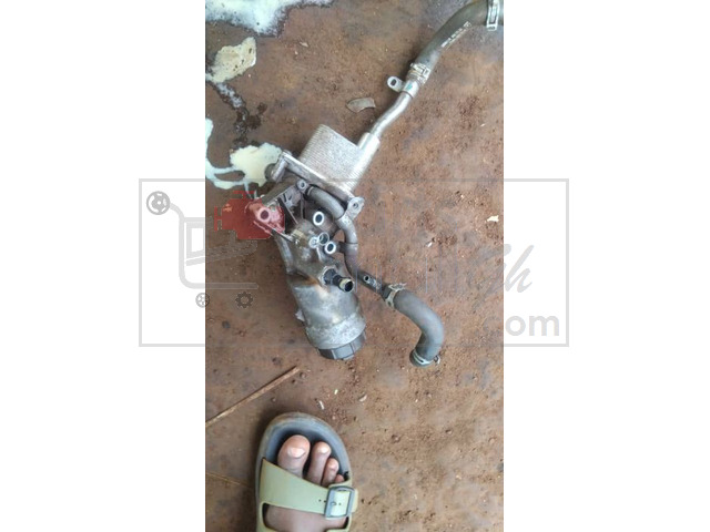 Exhaust Gas Recirculation (EGR) valve and cooler