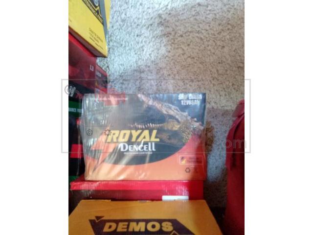 Royal dencell batteries