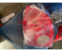 2005 Toyota Corolla Tail light