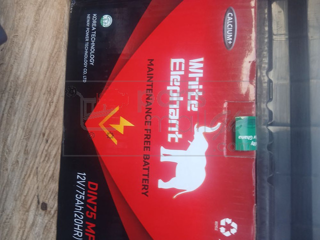 White elephant battery