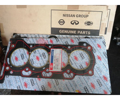 Head Cylinder Gaskets
