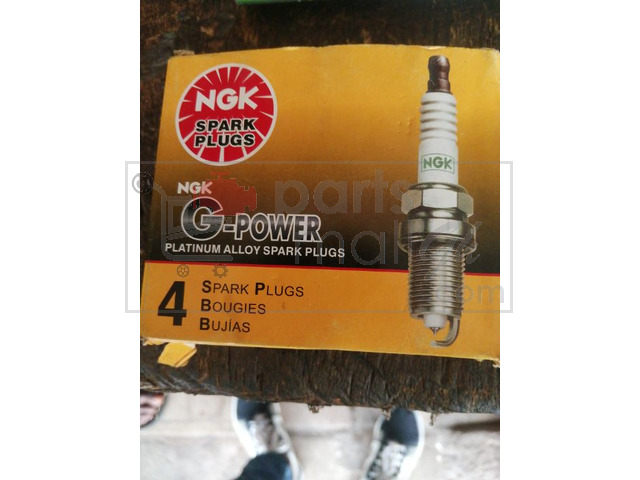 NGK Spark Plugs