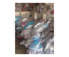 Corolla 2009 Headlight